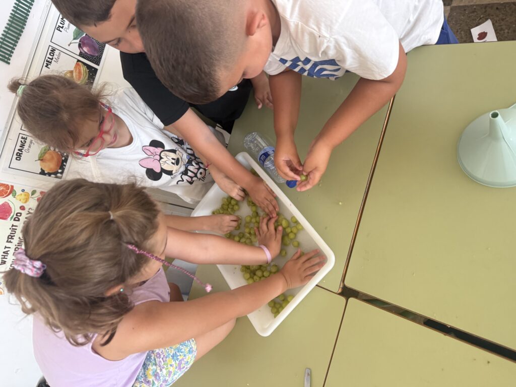 3r Fem de viticultors